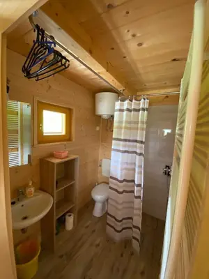 a bathroom with a shower and a toilet and a sink at Brunarica Jeršin in Cerkno