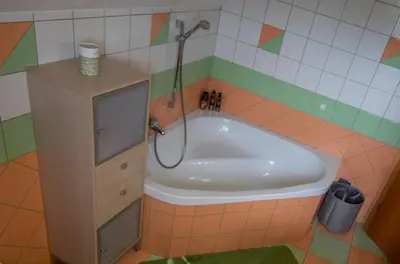 a bath tub with a shower in a bathroom at Guest house TOMAN in Bled