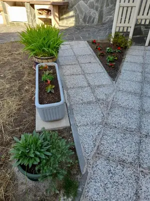 a garden with plants in pots on a sidewalk at Studio Eržen in Zgornje Gorje