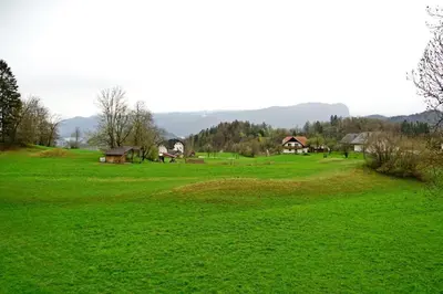 a large field of green grass with houses in the background at Studio Eržen in Zgornje Gorje