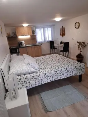 a bed in a small room with a kitchen at Studio Eržen in Zgornje Gorje