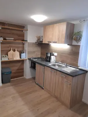 a kitchen with a sink and a counter top at Studio Eržen in Zgornje Gorje