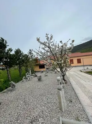 a garden with a tree in the middle of a road at Hiša Pod Slavnikom in Podgorje