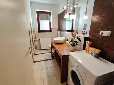 a bathroom with a washing machine and a sink at Petra Garden apartment in Bled