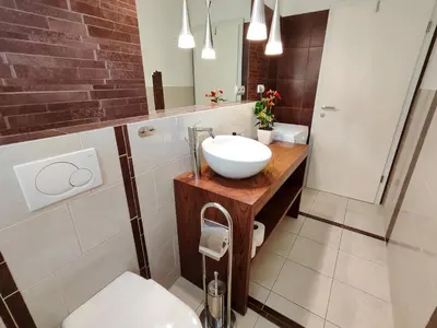 a bathroom with a white sink and a mirror at Petra Garden apartment in Bled
