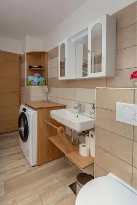 a bathroom with a washing machine and a sink at Počitniška Hiša Pr Martinovih in Postojna