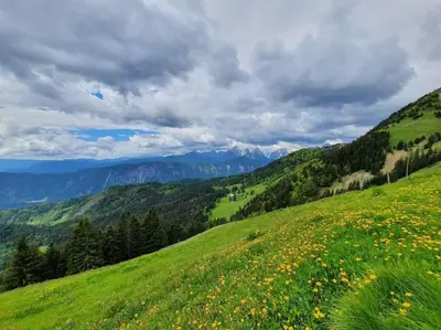 a field of flowers on a hill with mountains in the background at A Cottage in the Alps for hiking, cycling, skiing in Jesenice
