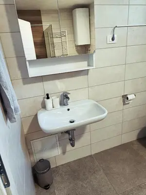 a bathroom with a white sink and a mirror at Green Apartment Cerknica in Cerknica