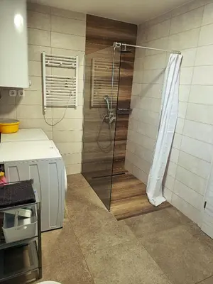 a shower with a glass door in a bathroom at Green Apartment Cerknica in Cerknica