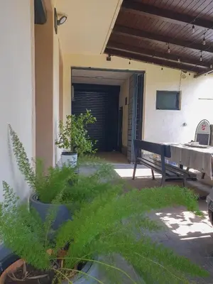 a plant in a pot next to a building at Apartment with Terrace Nona Pavla in Tolmin