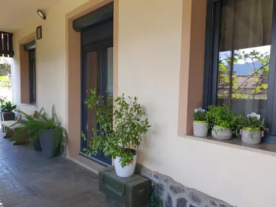 a group of potted plants sitting on the side of a building at Apartment with Terrace Nona Pavla in Tolmin