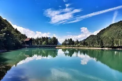 a view of a river with trees and a building at Apartma-studio Ajdna in Žirovnica